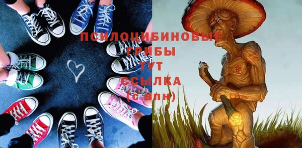 тгк Арсеньев