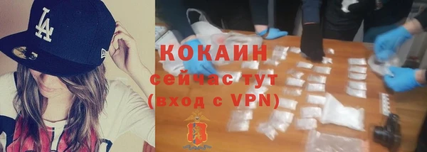 тгк Арсеньев