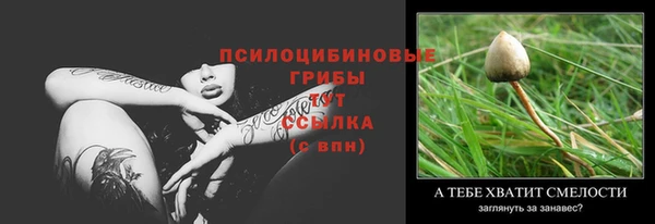 тгк Арсеньев