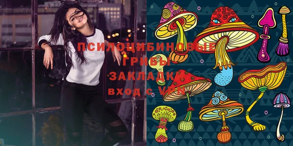 молекула духа Армянск