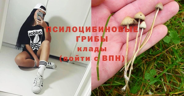 молекула духа Армянск