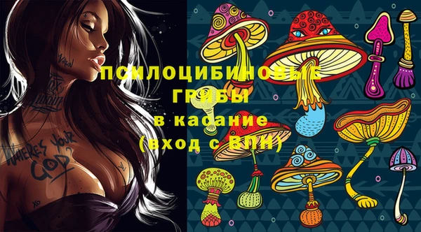 тгк Арсеньев